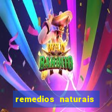 remedios naturais para diabetes